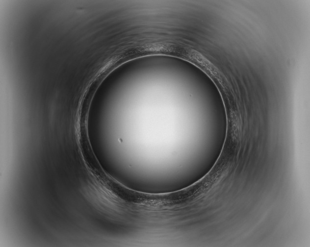 X0000096140482200801181136