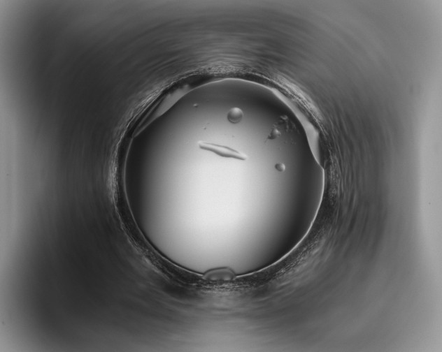 X0000096140485200801181136