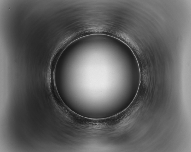 X0000096140486200801181136
