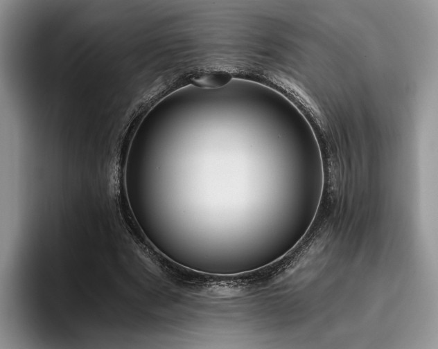 X0000096140489200801181136