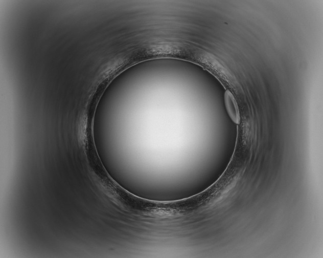 X0000096140490200801181136