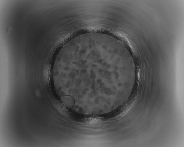 X0000096140495200801181136
