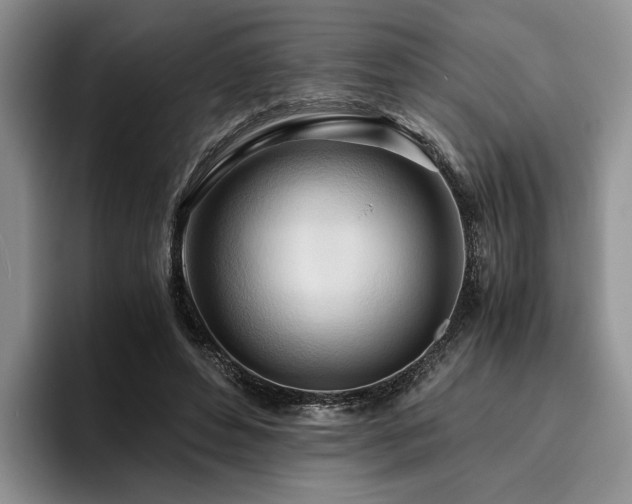 X0000096140496200801181136