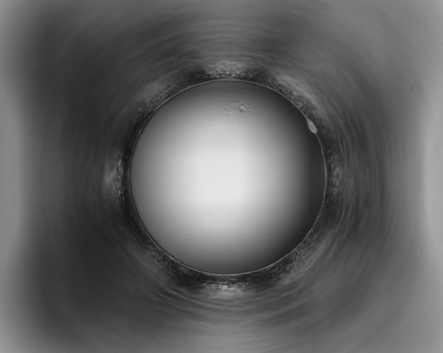 X0000096140498200801181135