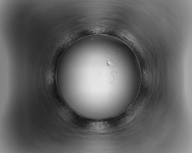 X0000096140499200801181135