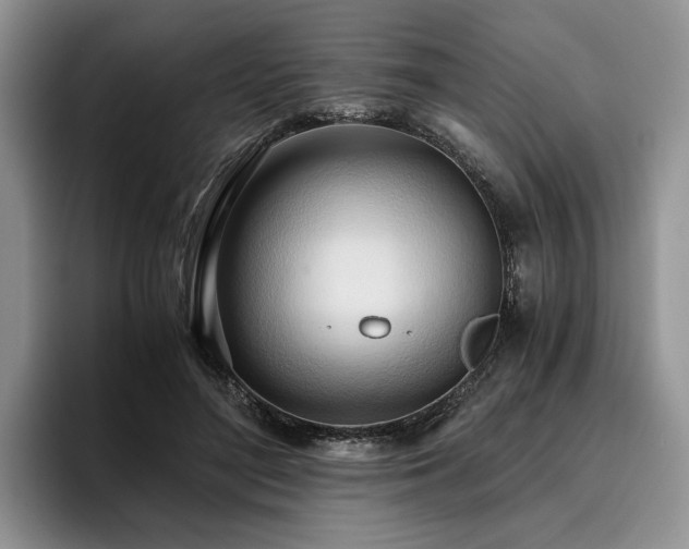X0000096140500200801181135