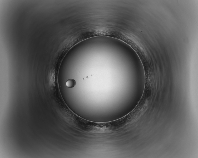 X0000096140502200801181135