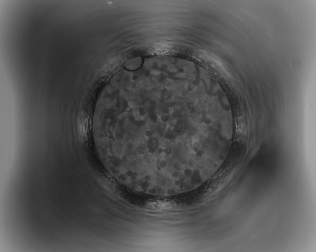 X0000096140503200801181135