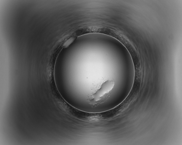 X0000096140505200801181135