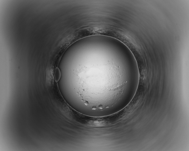 X0000096140506200801181135