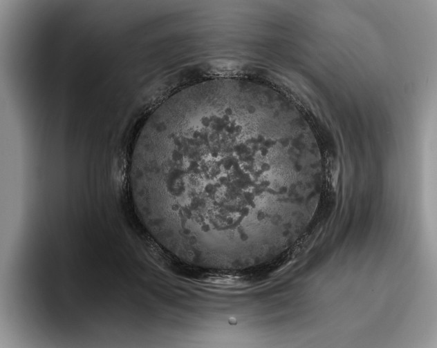 X0000096140507200801181135