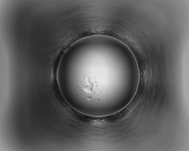 X0000096140508200801181135