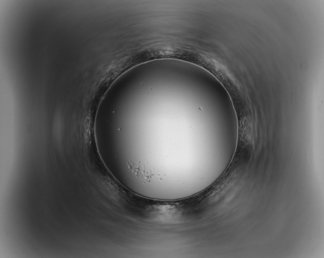 X0000096140509200801181135