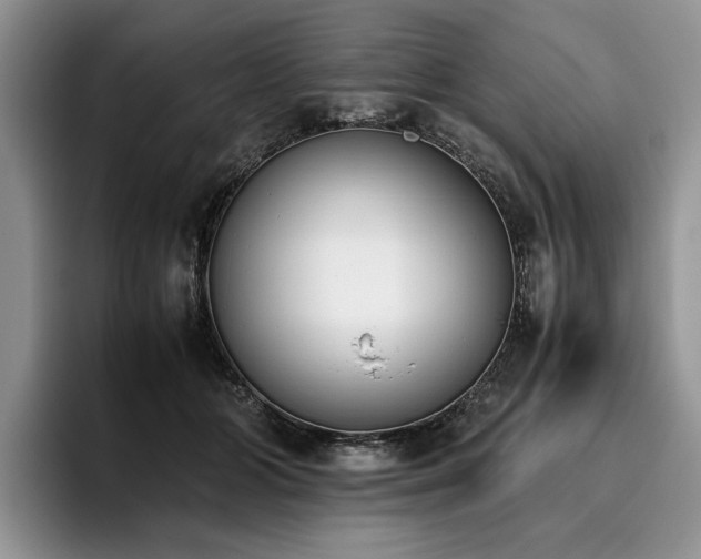 X0000096140510200801181135