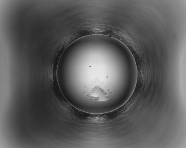 X0000096140512200801181135