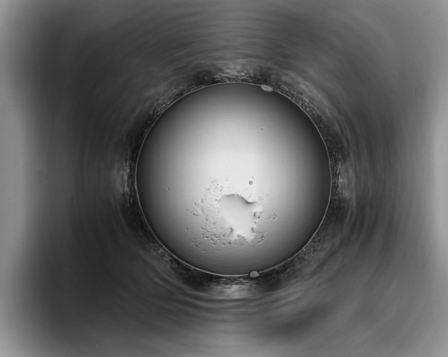 X0000096140514200801181135