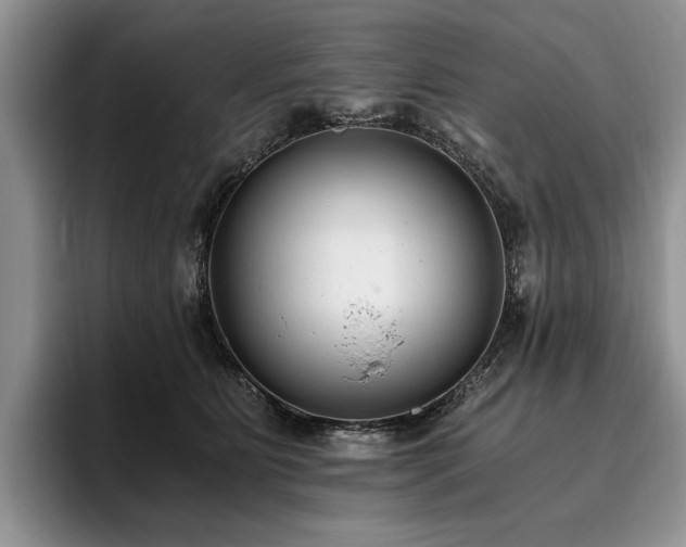 X0000096140515200801181135