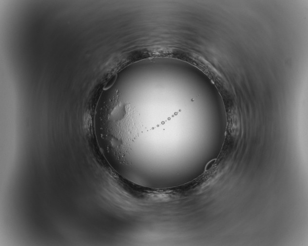 X0000096140523200801181135