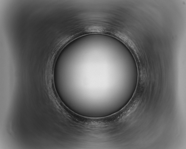 X0000096140529200801181134