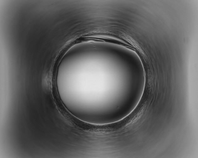 X0000096140530200801181135