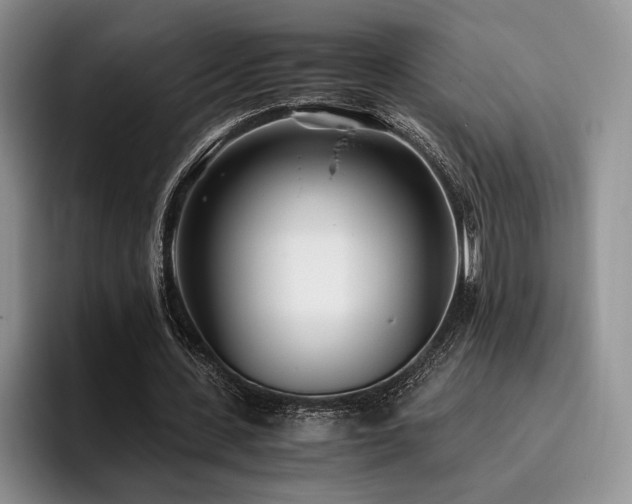 X0000096140531200801181135