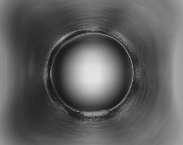 X0000096140532200801181135