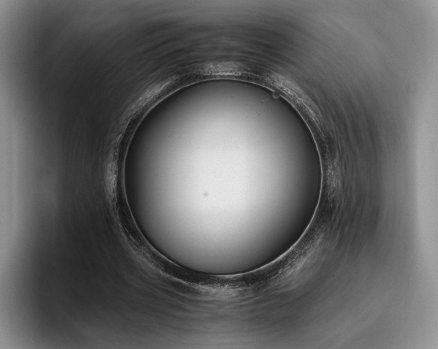 X0000096140533200801181135