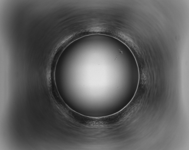 X0000096140535200801181135