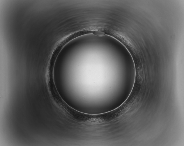 X0000096140536200801181135