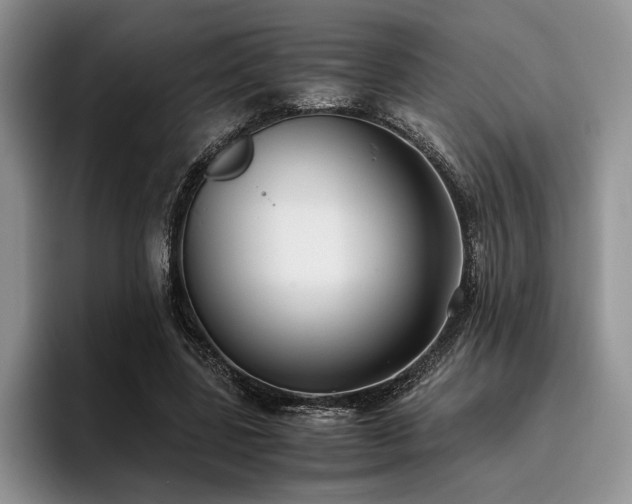 X0000096140539200801181135