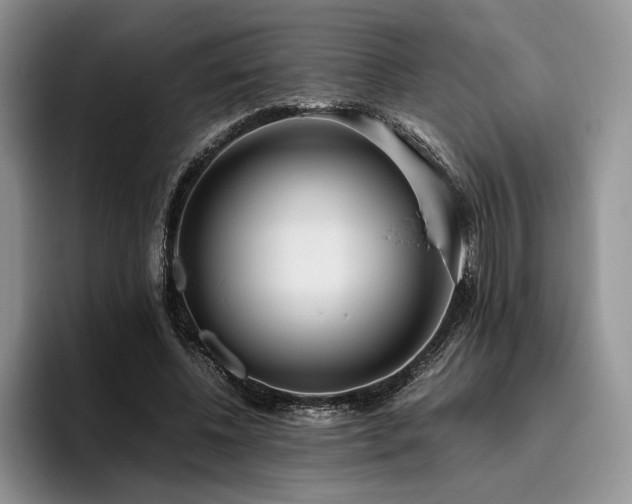 X0000096140540200801181135