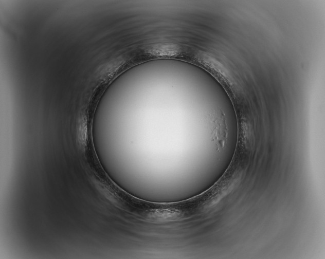 X0000096140541200801181135