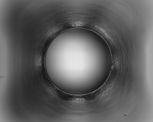 X0000096140543200801181135