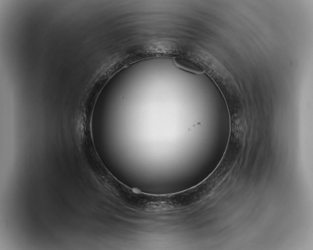 X0000096140544200801181135