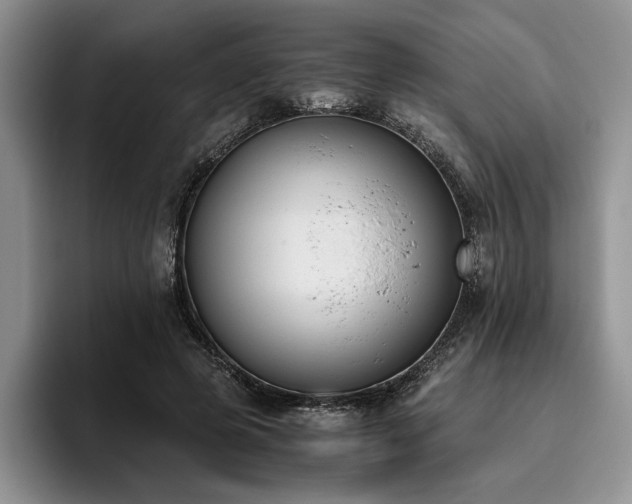 X0000096140545200801181135