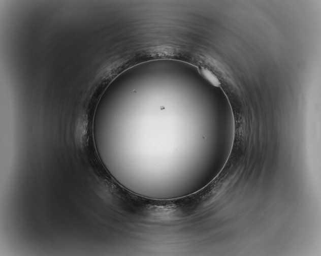 X0000096140548200801181135