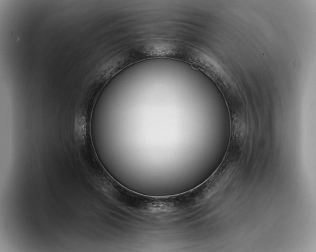 X0000096140549200801181135