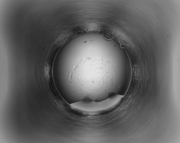 X0000096140550200801181135