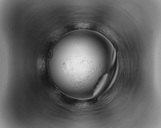 X0000096140551200801181135