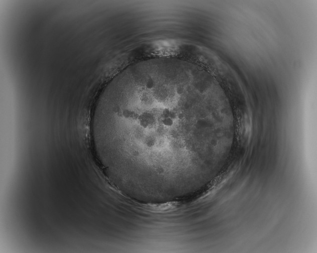 X0000096140553200801181135