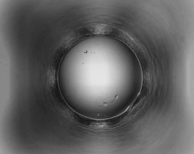 X0000096140554200801181135