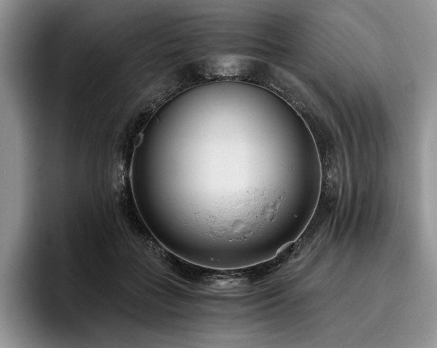 X0000096140555200801181135
