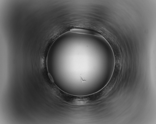 X0000096140556200801181135