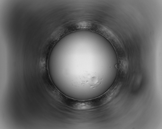 X0000096140557200801181135