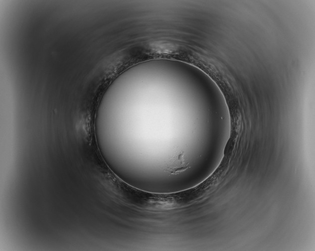 X0000096140559200801181135