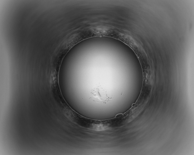 X0000096140561200801181135