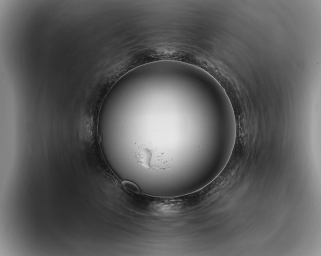 X0000096140563200801181135