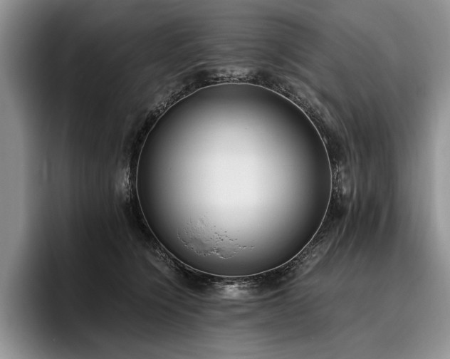X0000096140564200801181135