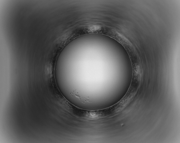 X0000096140565200801181135