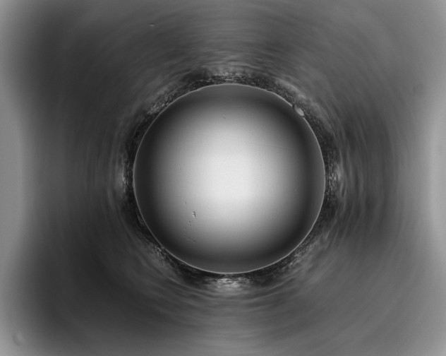 X0000096140566200801181135